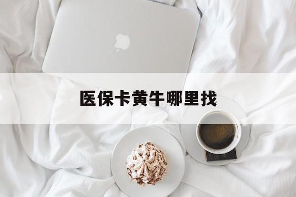 白山最新医保卡黄牛哪里找方法分析(最方便真实的白山医保卡的事情去哪里咨询方法)